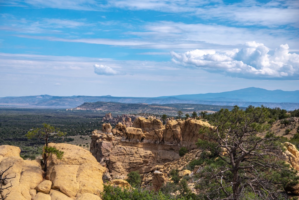 Cibola National Forest Mt. Taylor Ranger District (East)