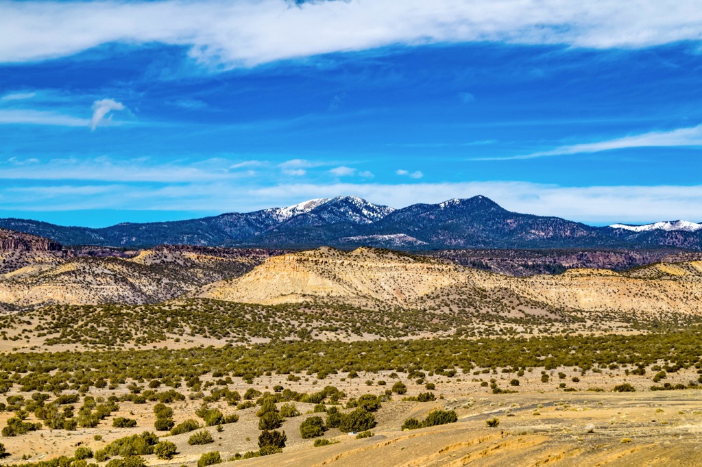 Mt. Taylor Ranger District of the Cibola National Forest, New Mexico