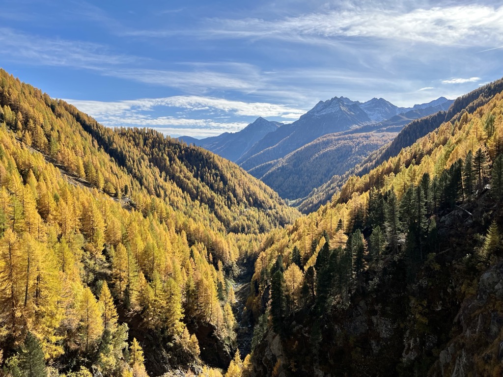Goldener Lärchenwald im Mühlwalder Tal oberhalb von Lappach, Südtirol