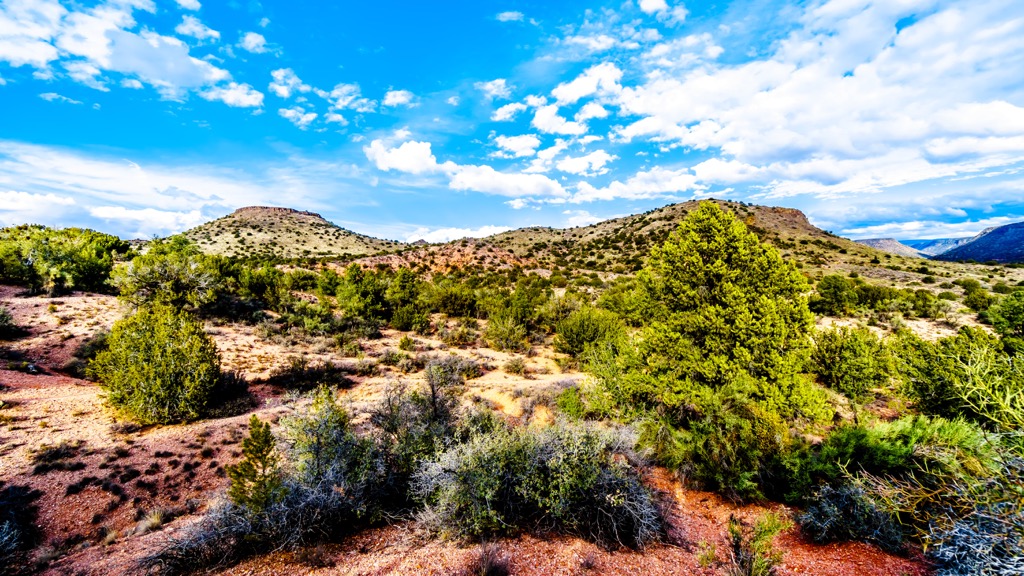 Jacks Canyon, Munds Mountain Wilderness, Arizona
