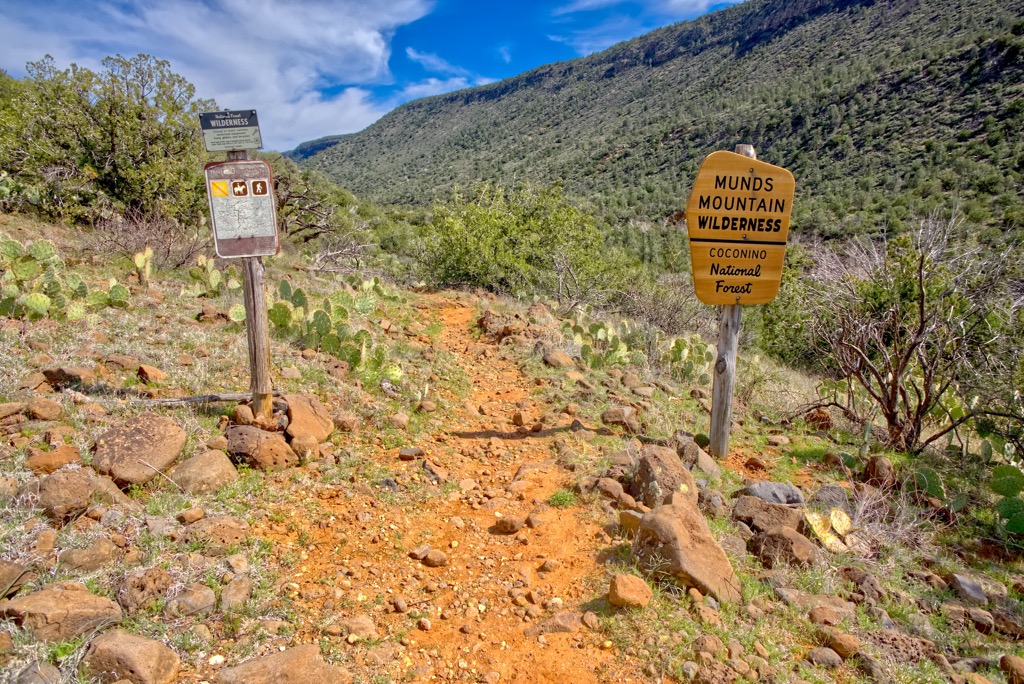 Munds Mountain Wilderness, Arizona