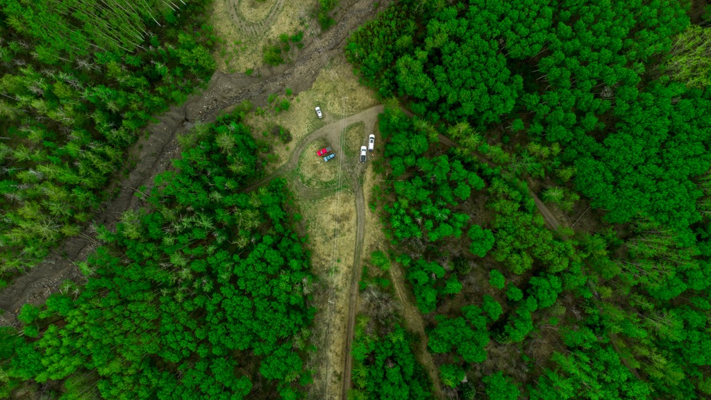 Municipal District of Greenview, Alberta