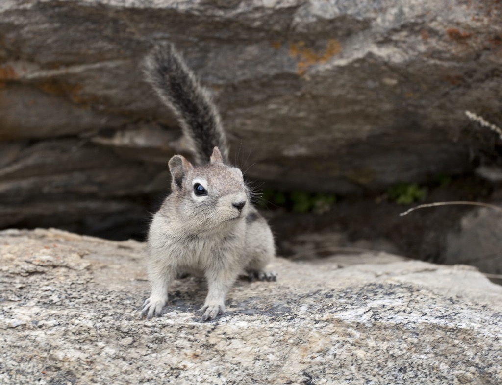 Myra-Bellevue Provincial Park, British Columbia