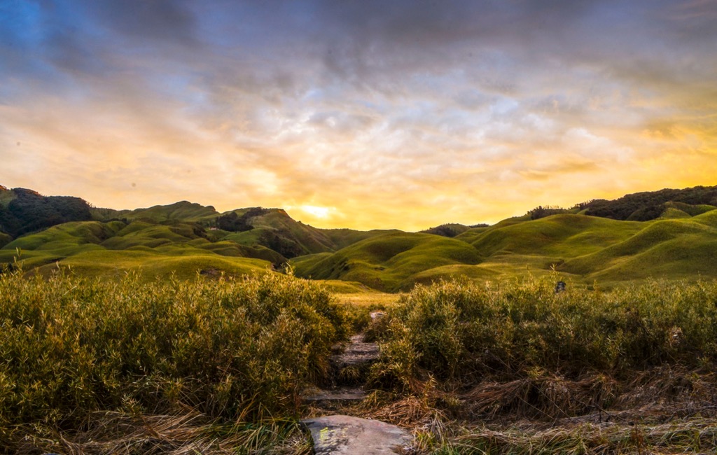 The Dzukou Valley, Nagaland. Nagaland