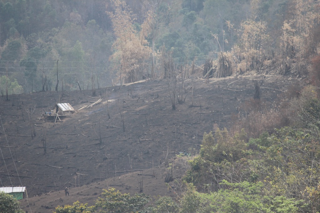 Slash and burn agriculture near the village of Wokha. Nagaland