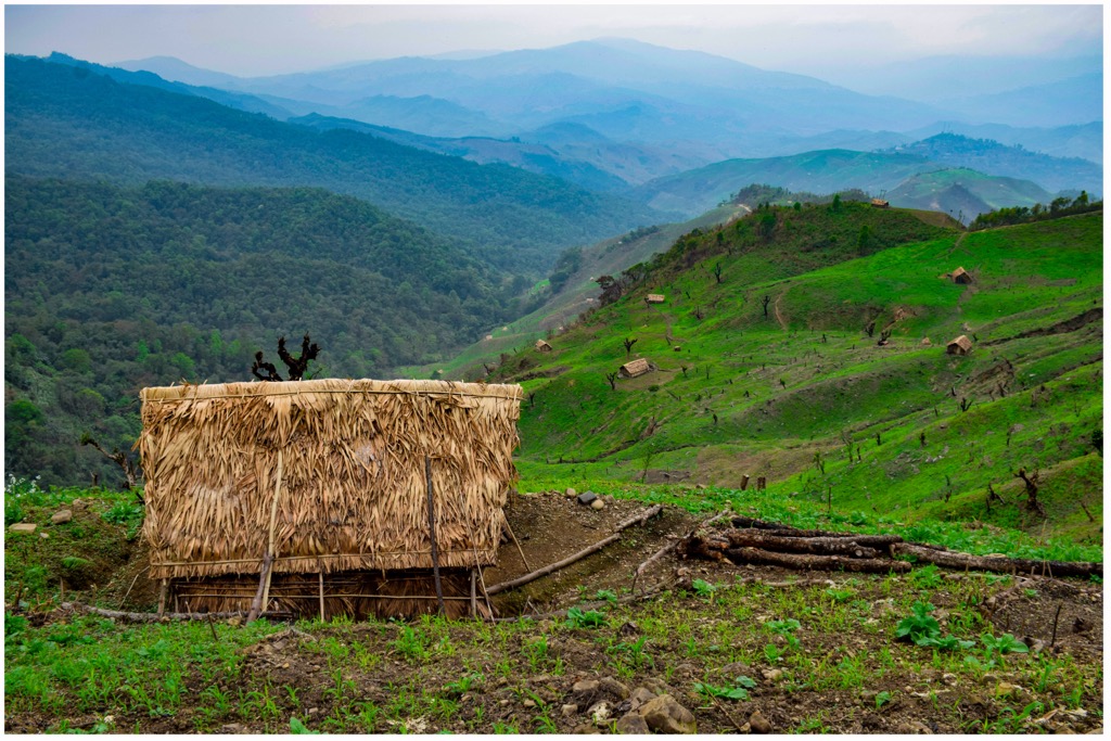 Traditional huts of bamboo and palm leaves protect farmers from rains and scorching heat. Nagaland
