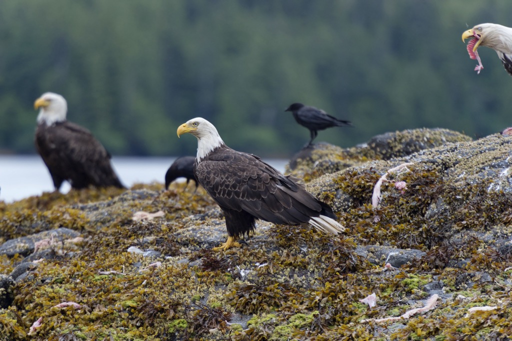 Naikoon Provincial Park, British Columbia
