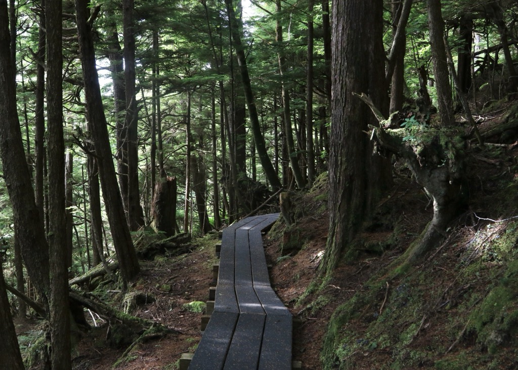 Naikoon Provincial Park, British Columbia