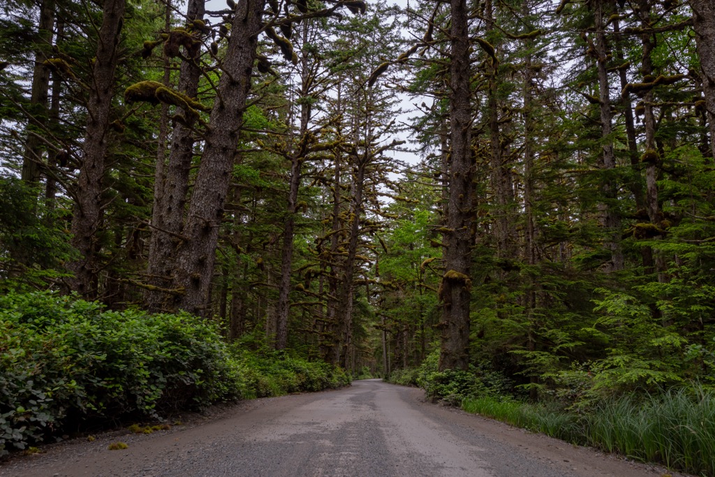 Naikoon Provincial Park, British Columbia