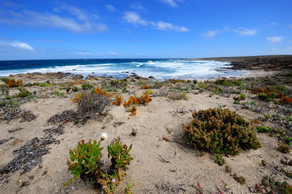 The Atlantic Coast of Namaqua National Park. Namakwa District Municipality