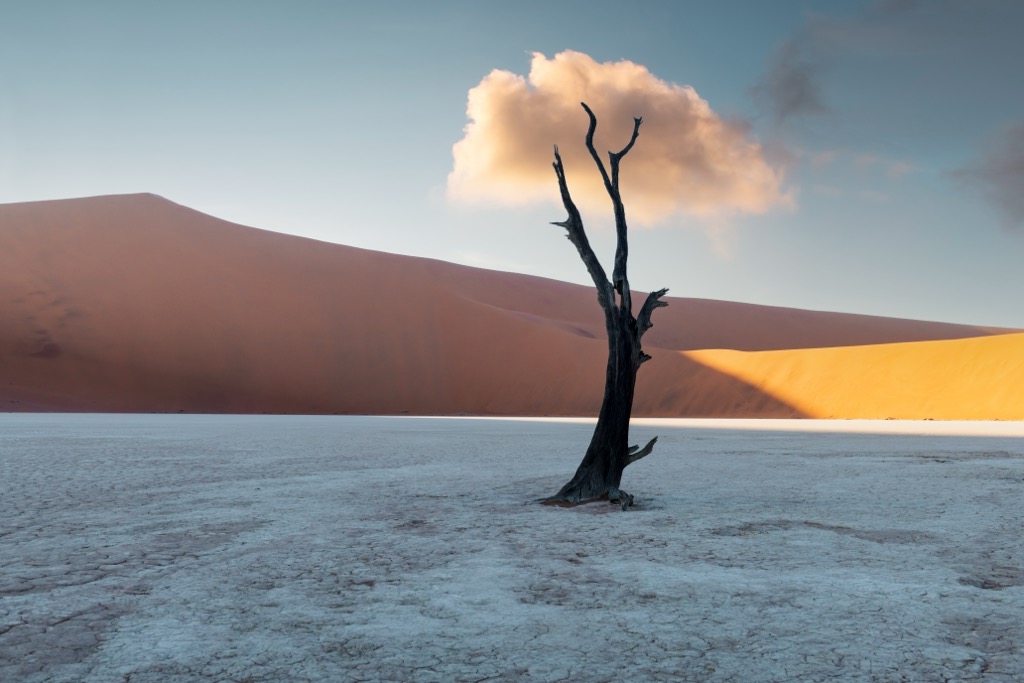 Namib-Naukluft National Park, Namibia