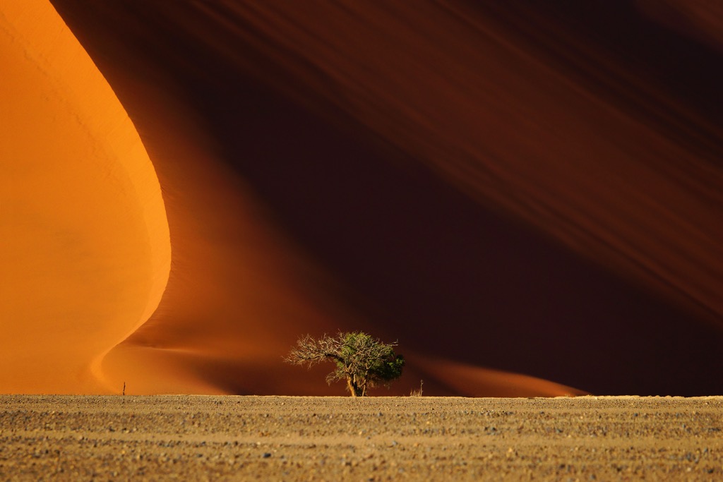 Namib-Naukluft National Park