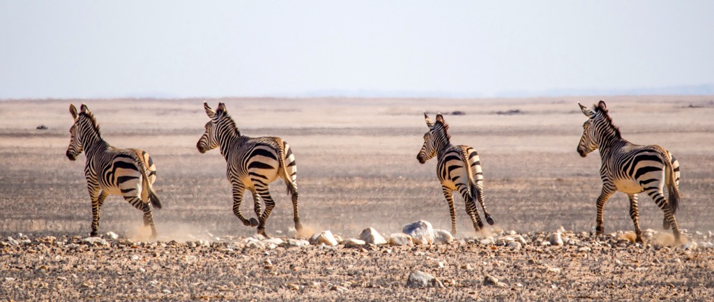 Namib-Naukluft National Park, Namibia
