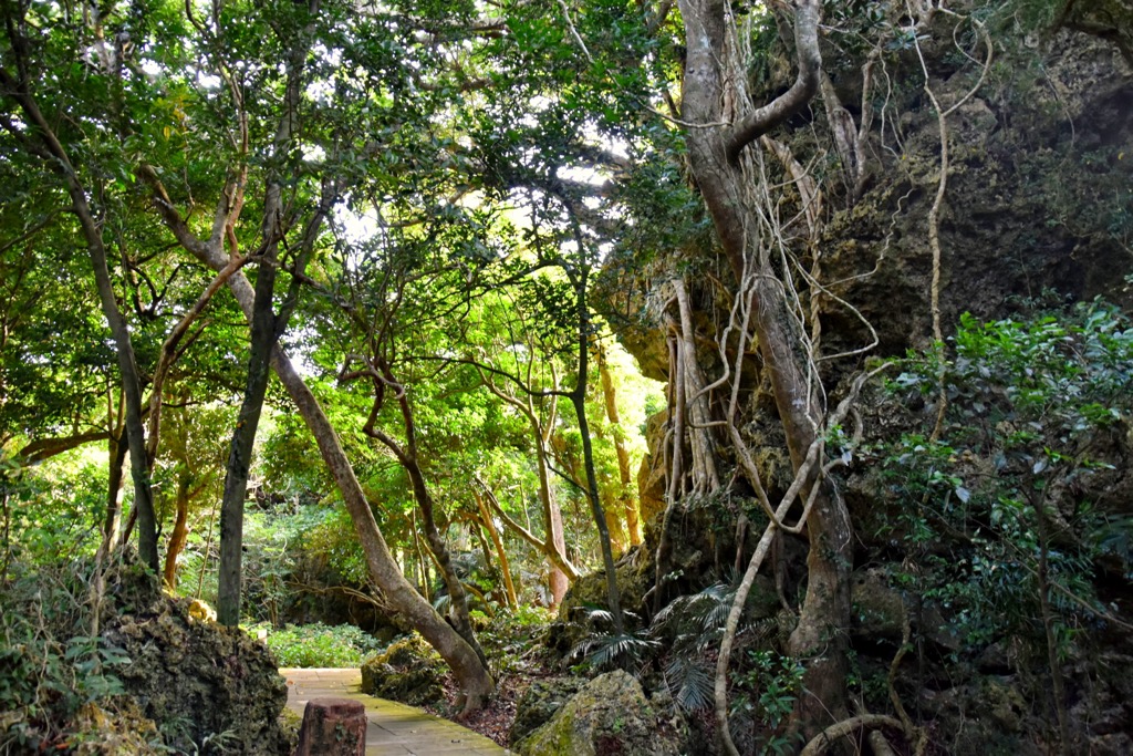 Nanren Mountain Ecological Reserve, Taiwan