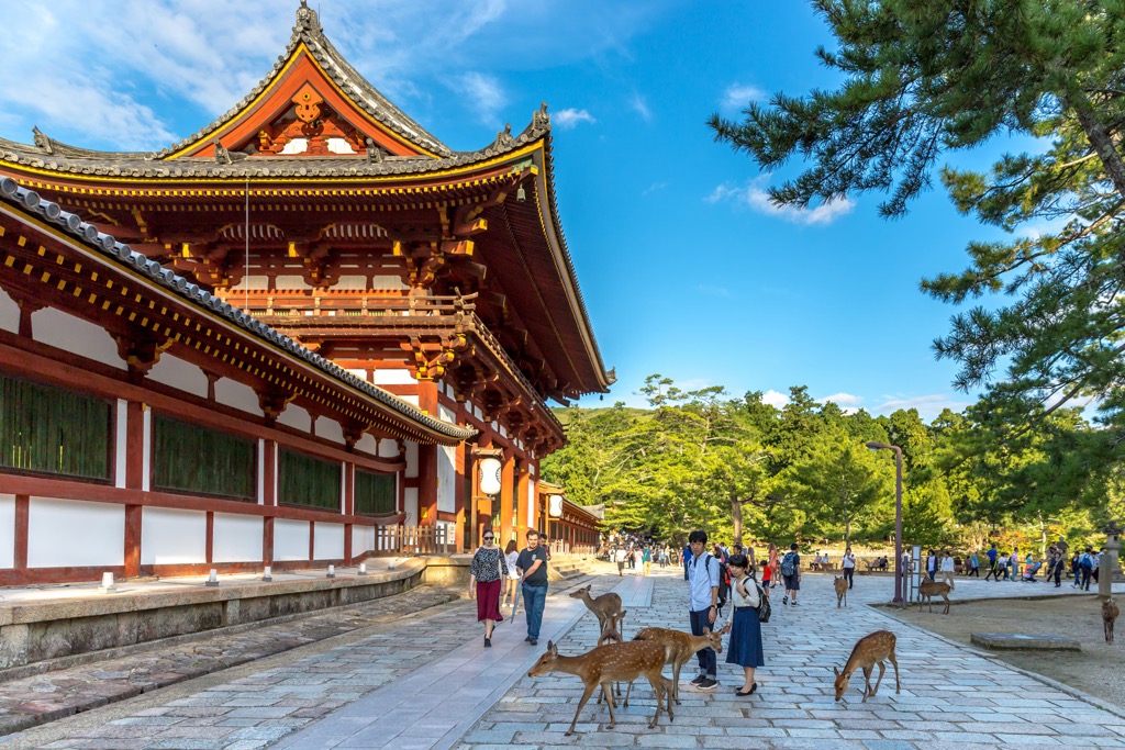 Nara, Japan
