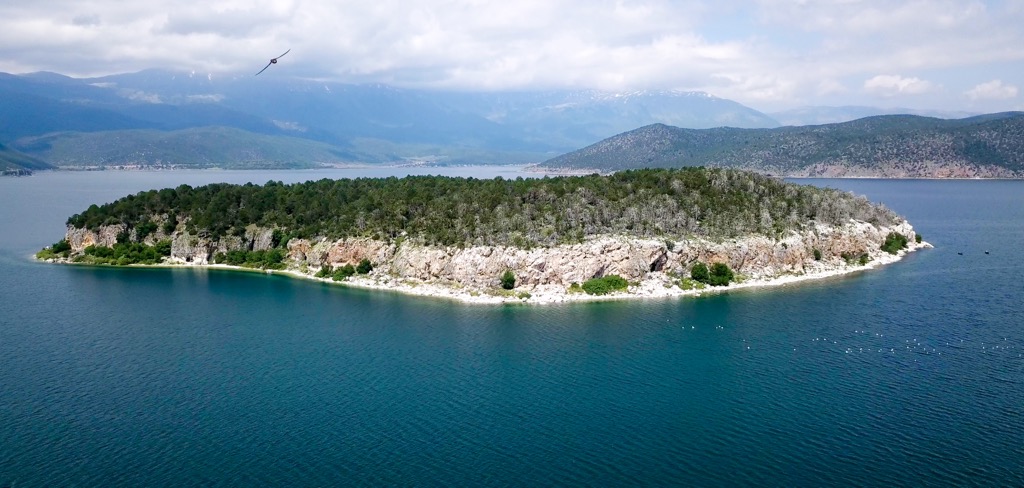 Golam Grad Island is a haven for wildlife. National Park Galichica