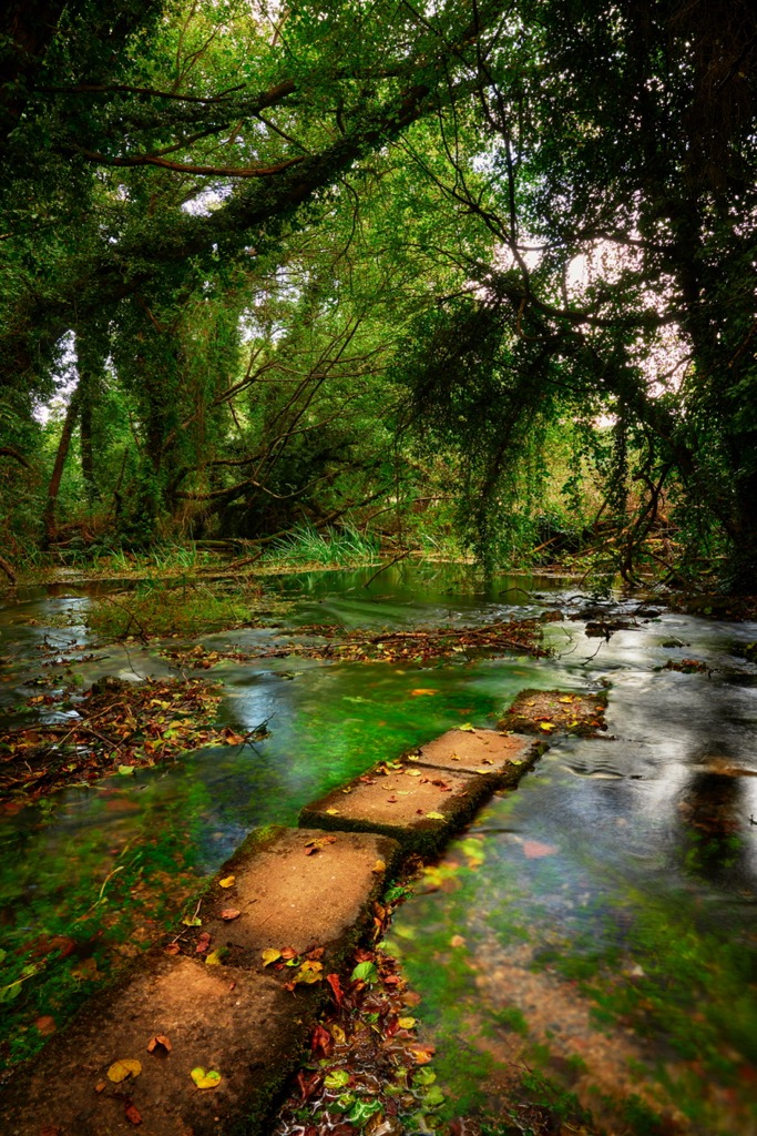 Springs and wetlands at the base of the mountains support abundant biodiversity. National Park Galichica