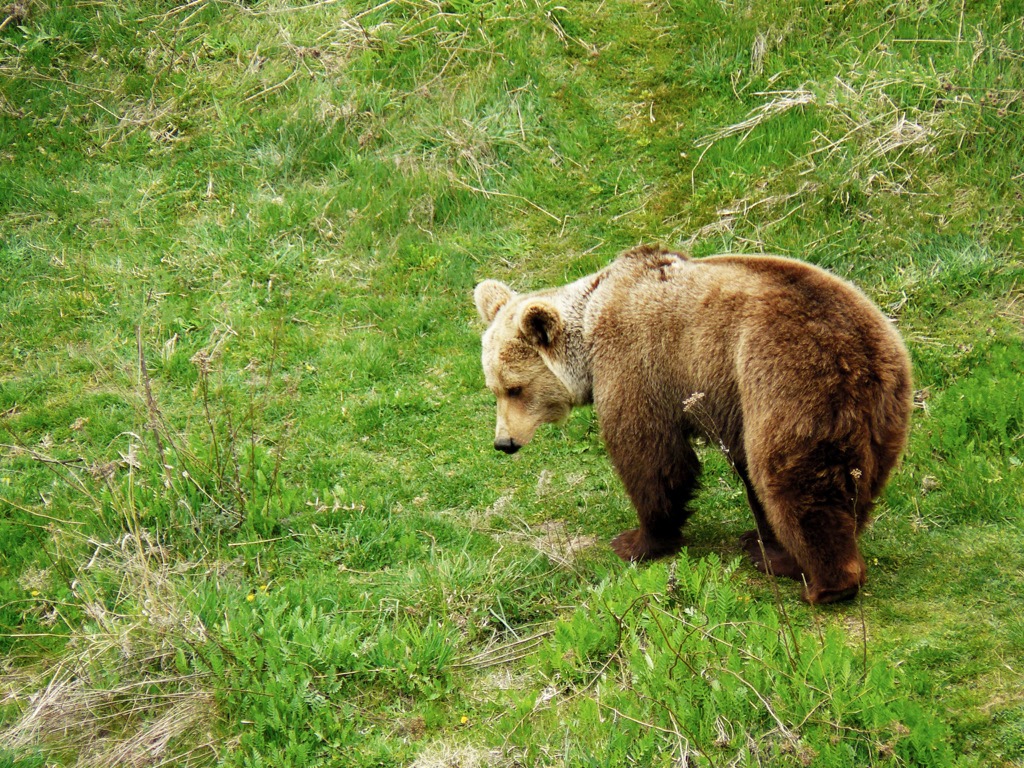 National Park Rila, Bulgaria
