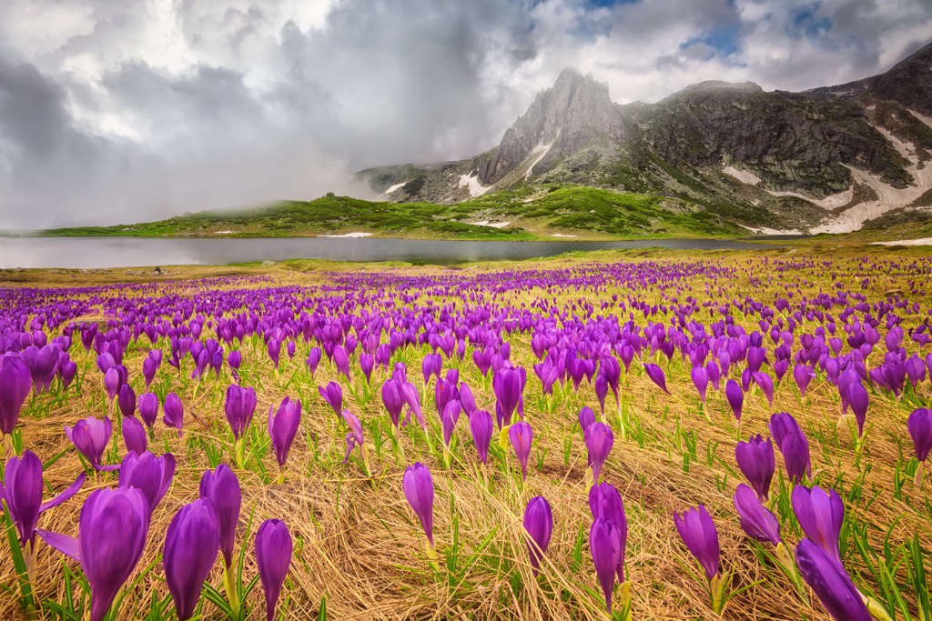 National Park Rila, Bulgaria
