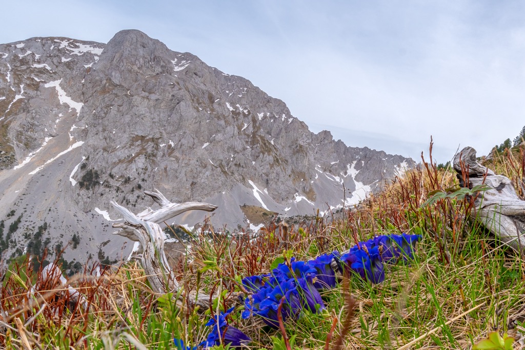 Nature Park Komovi, Montenegro