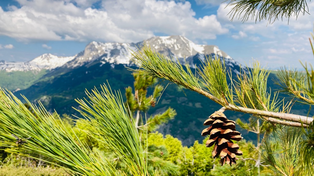 Nature Park Komovi, Montenegro