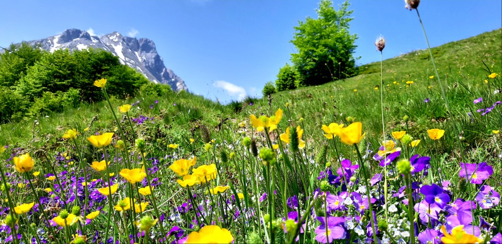 Nature Park Komovi, Montenegro