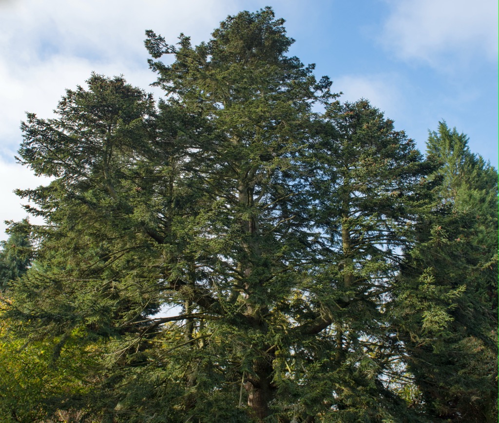 Nature Park Zagoria, Albania