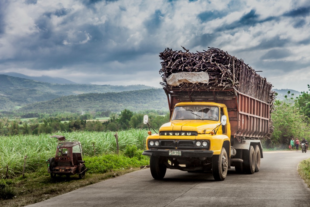 Sugarcane cultivation in Negros Island contributes over $1.3 billion to the Philippines’ economy. Negros Occidental
