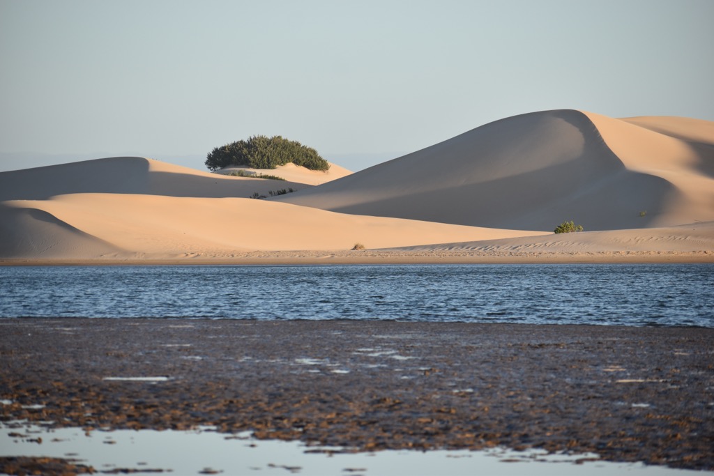 Sand dunes along the Sundays River. Nelson Mandela Bay