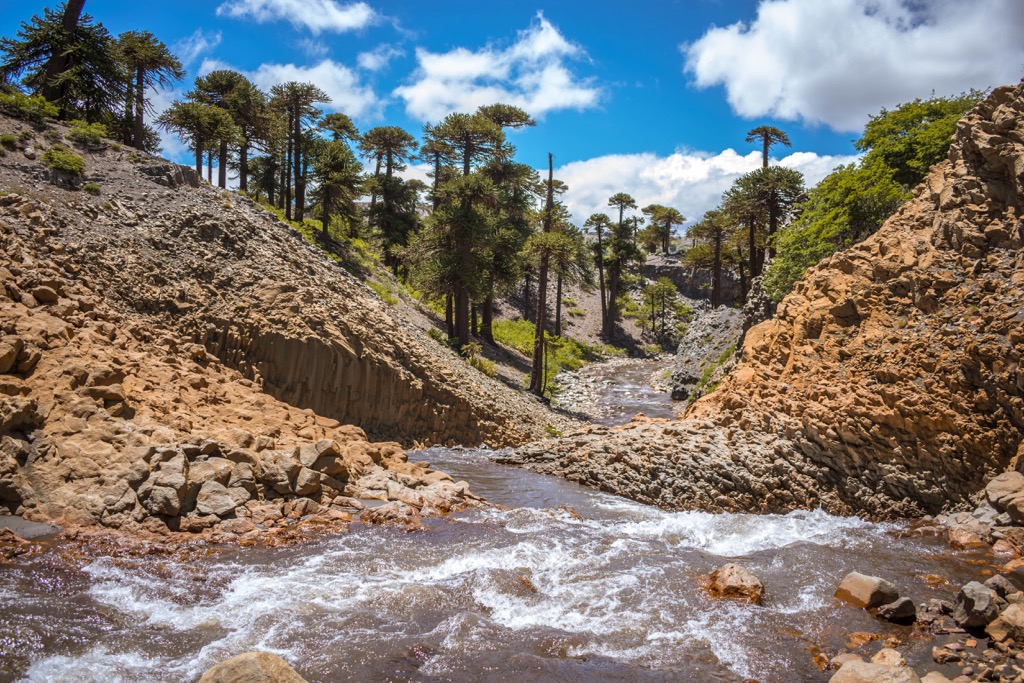 Agrio River, Neuquén, Argentina