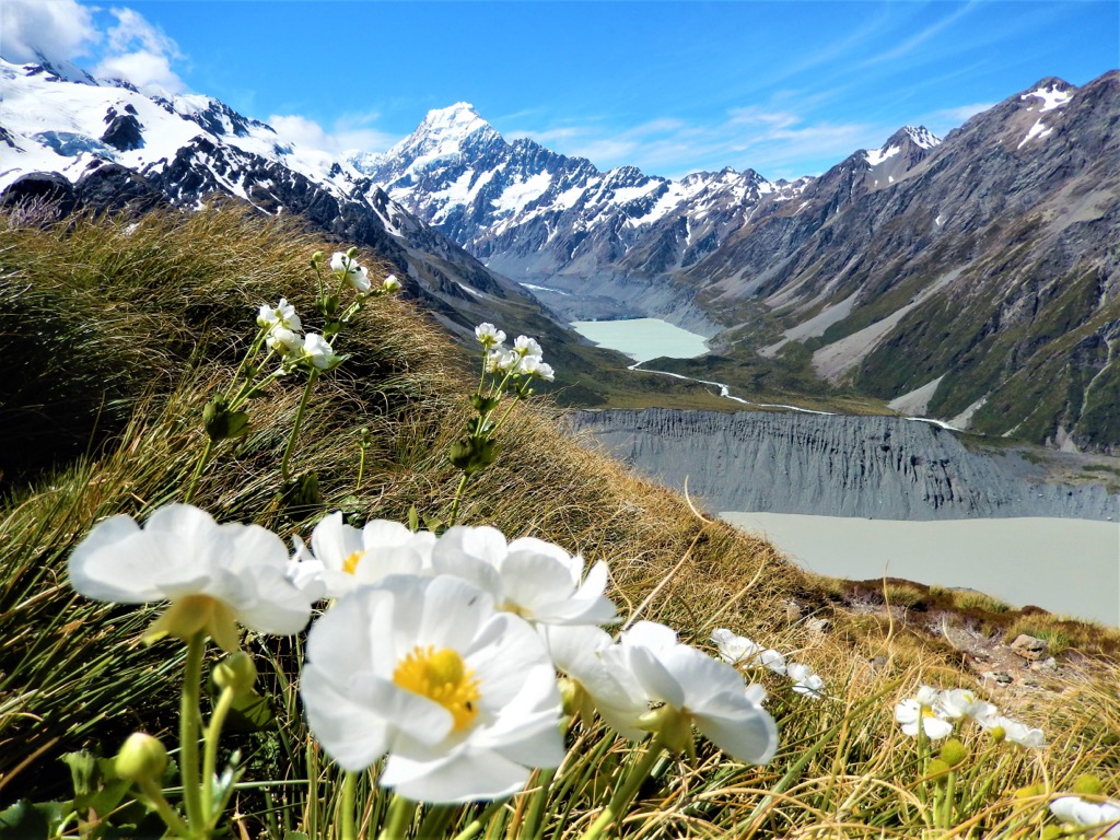 Mount Cook, New Zealand