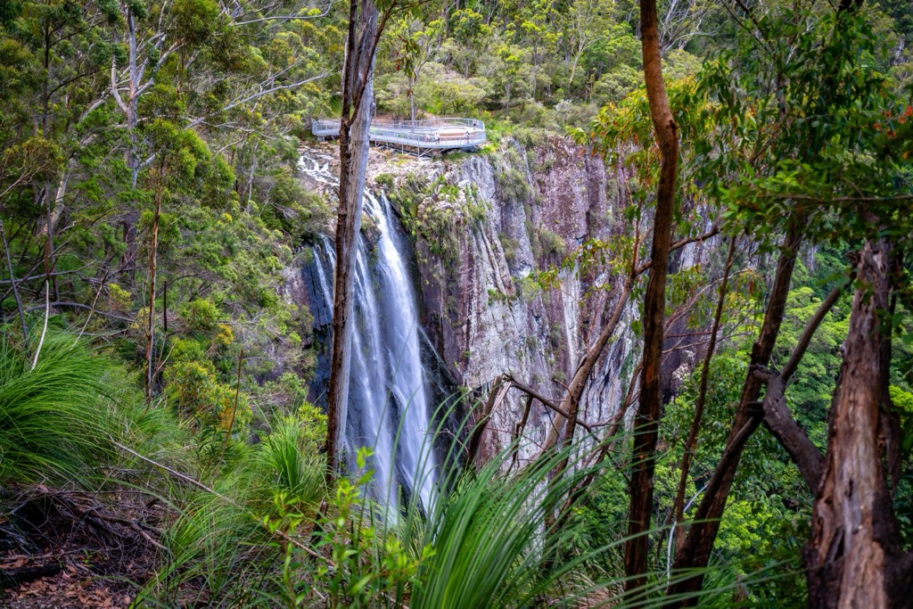 Nightcap National Park, Australia