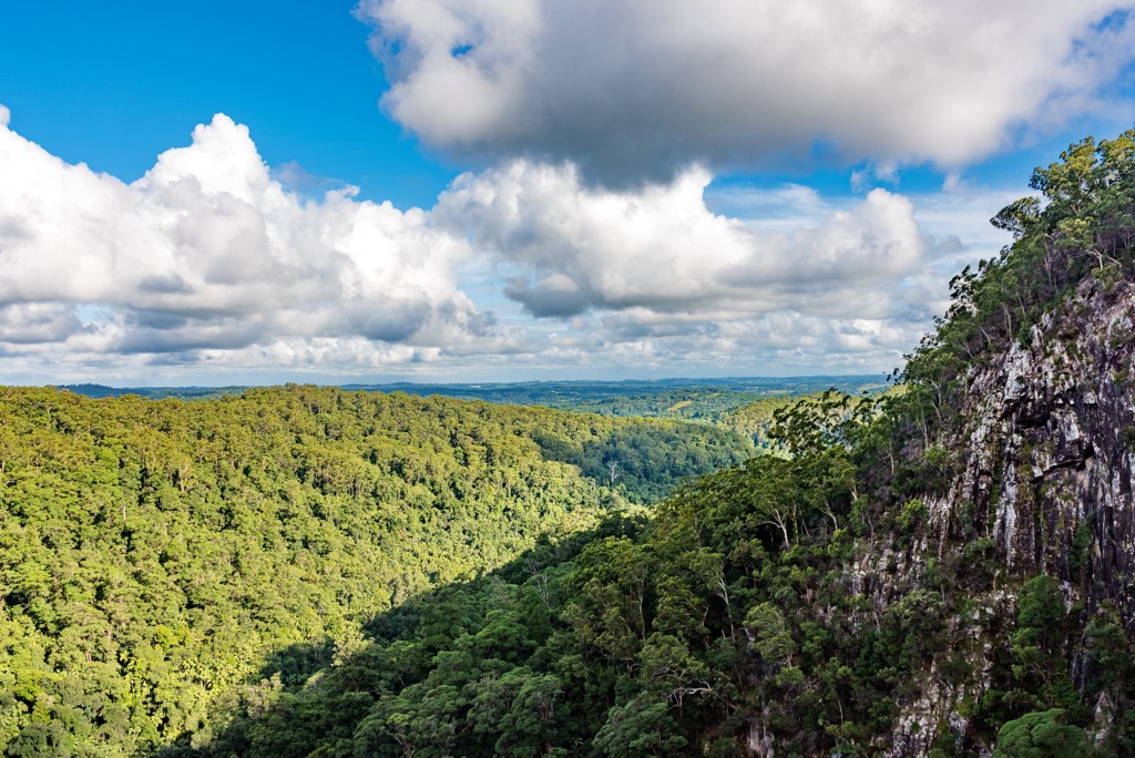 Nightcap National Park, Australia