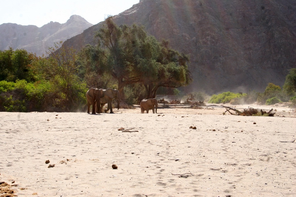 The dry river canyons belong to the elephants. Photo: Sergei Poljak. Nomad-Friendly Countries for Mountain Lovers