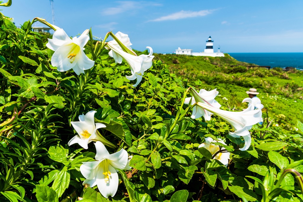 Fuguijiao Lighthouse, North Coast Coastal Reserve, Taiwan