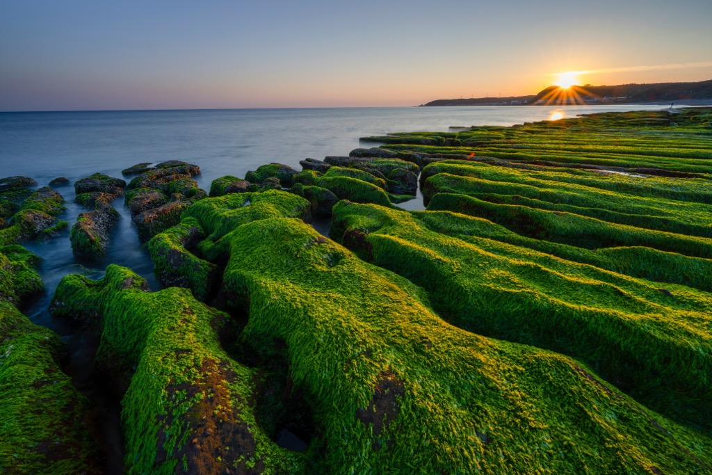 Laomei Green Reef, North Coast Coastal Reserve, Taiwan