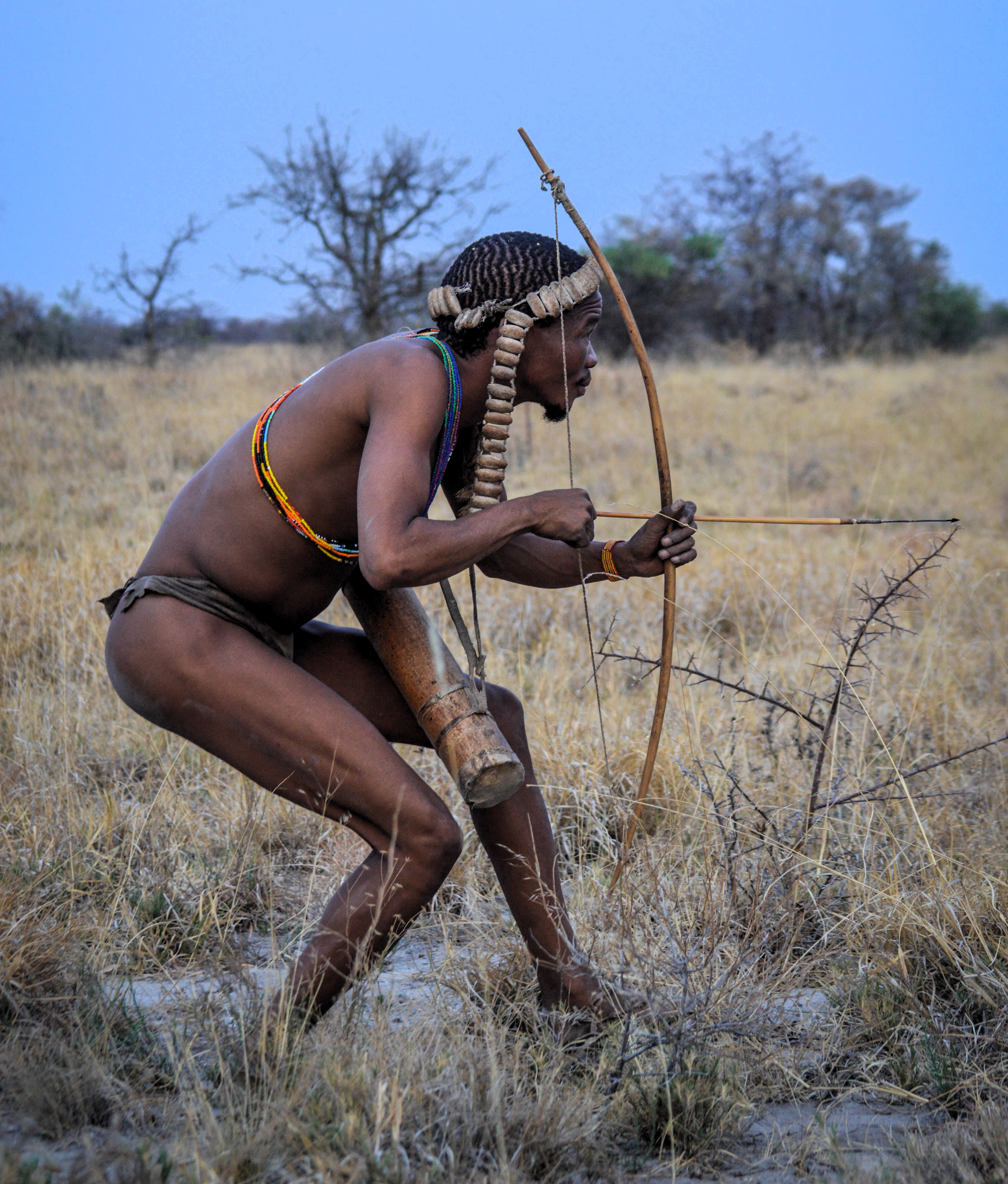 A San hunter stalking game in a 2017 photo. Approximately 105,000 San remain, mainly in Botswana, where hunter-gatherers comprise 2.8% of the population. Of the 10,000 individuals remaining in South Africa, nearly all are in the Northern Cape province. Northern Cape