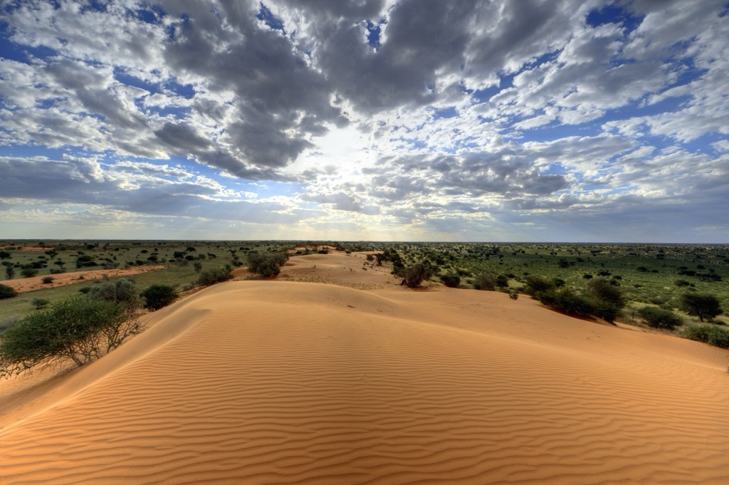 Kalahari sand dunes in the Northern Cape. Northern Cape