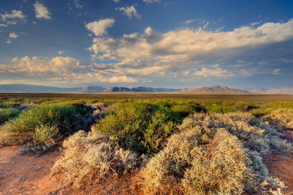 Tankwa Karoo National Park. Northern Cape