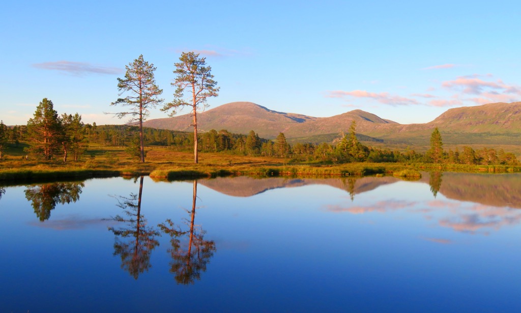 Blåfjella-Skjækerfjella National Park. Norway