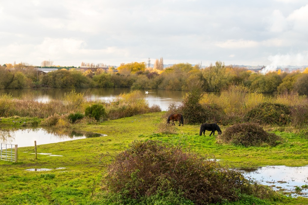 Sir David Attenborough opened the Attenborough Nature Reserve in 1966. It’s named after the neighboring village of Attenborough. Nottingham