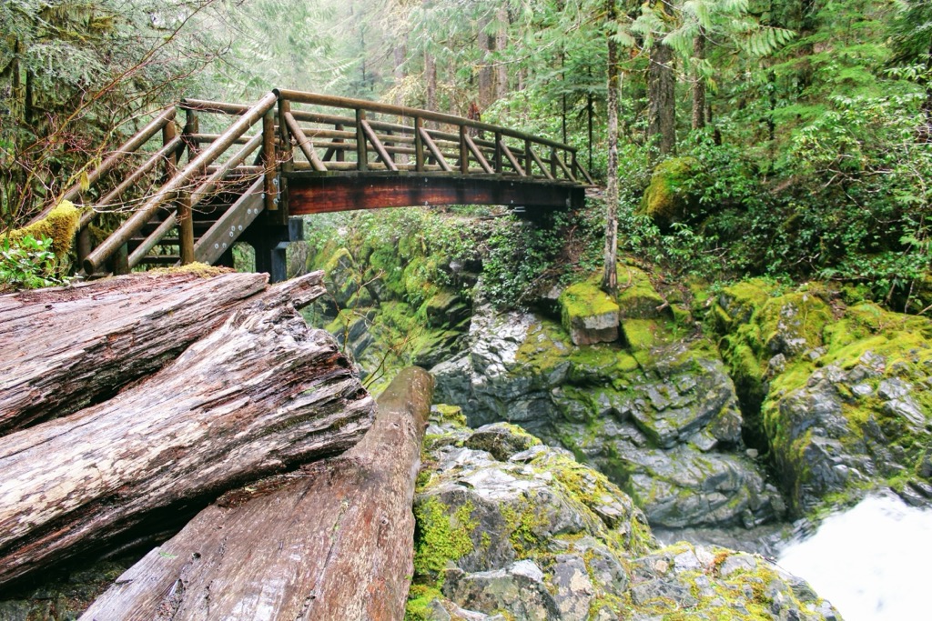Opal Creek Wilderness, Oregon