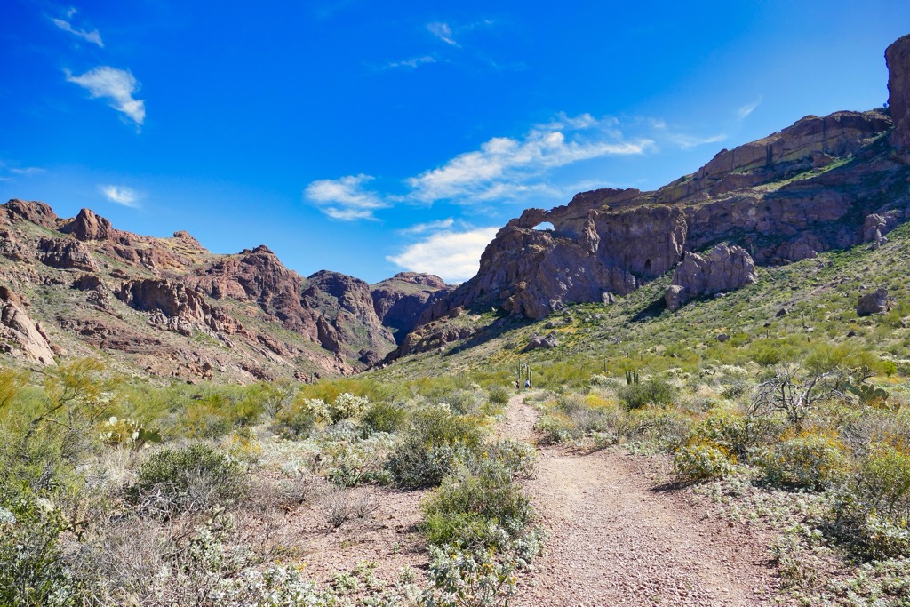 Organ Pipe Cactus National Monument, Arizona