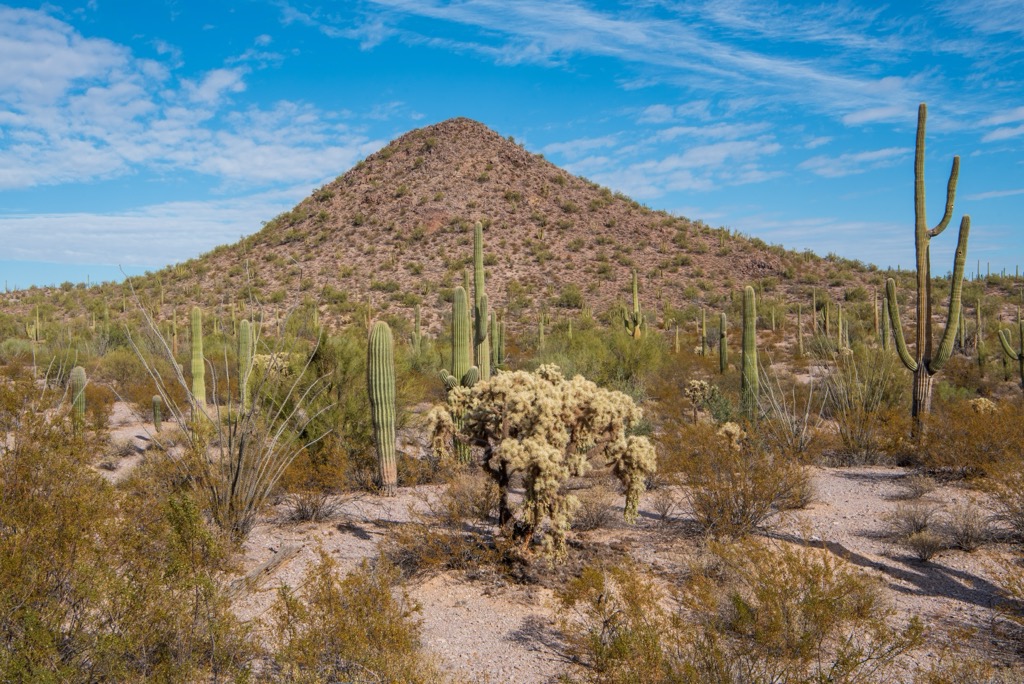 Organ Pipe Cactus National Monument, Arizona