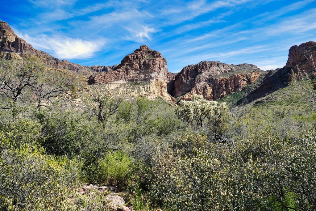 Organ Pipe Cactus National Monument, Arizona