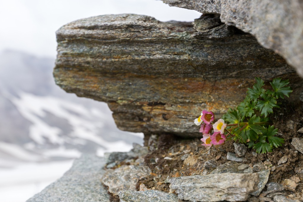 Ötztal Nature Park, Austria