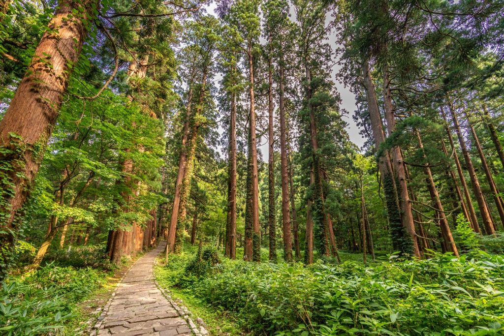 Dewa Sanzan, Ōu Mountains, Japan