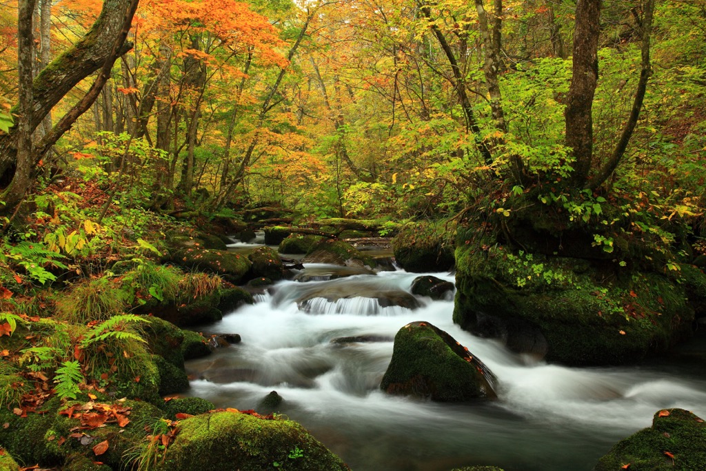 Oirase Gorge, Ōu Mountains, Japan