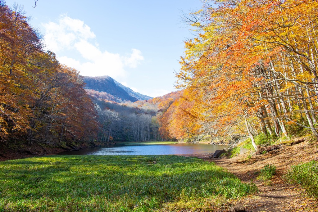Tsuta Onsen Ryokan, Ōu Mountains, Japan