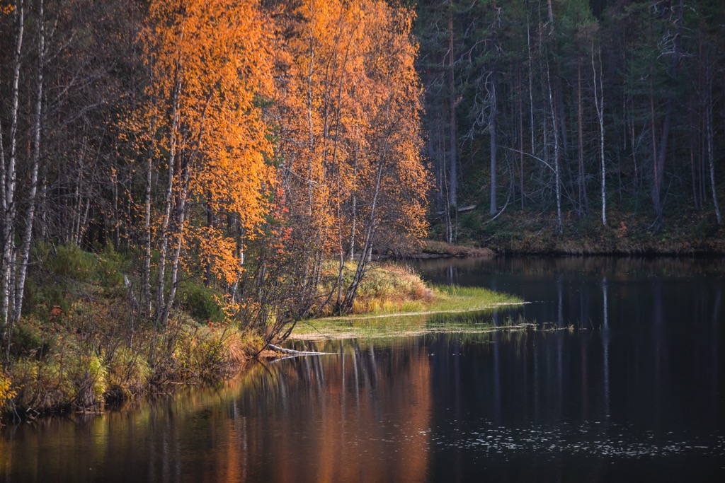 Oulanka National Park